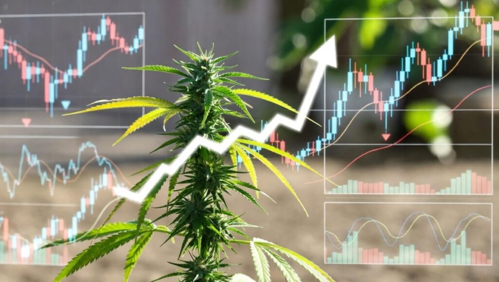 Canopy Growth Prognose: die wahrscheinlichsten Szenarien