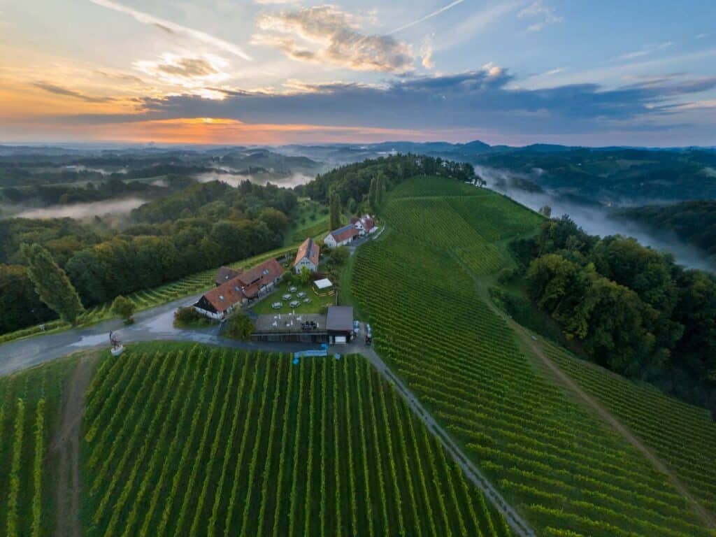Weingut Pongratz: Ein Geheimtipp im Herzen der Südsteiermark